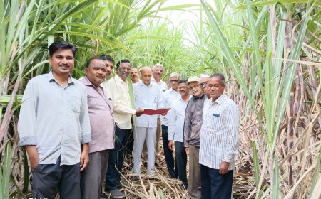 महाराष्ट्र कृषी दिनानिमित्त श्री दत्त साखरच्या वतीने नाविन्यपूर्ण शेतीला प्रोत्साहन, प्रगत शेतकऱ्यांचा सन्मान
