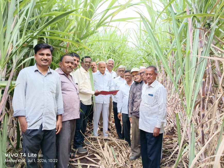 महाराष्ट्र कृषी दिनानिमित्त श्री दत्त साखरच्या वतीने नाविन्यपूर्ण शेतीला प्रोत्साहन, प्रगत शेतकऱ्यांचा सन्मान